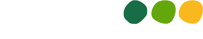Apples & Oranges AI Training
